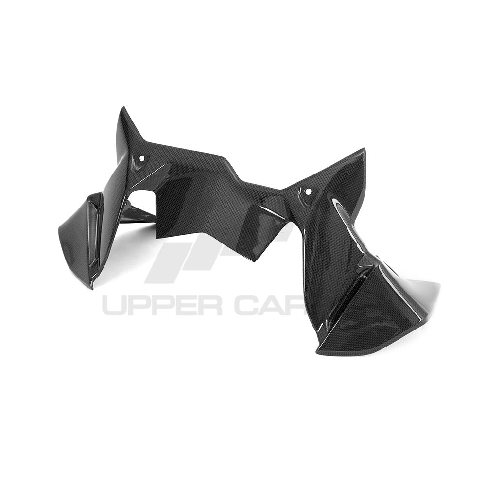BMW R1250 GS/GSA Carbon Fiber Wind Deflector On The Cockpit — image 3