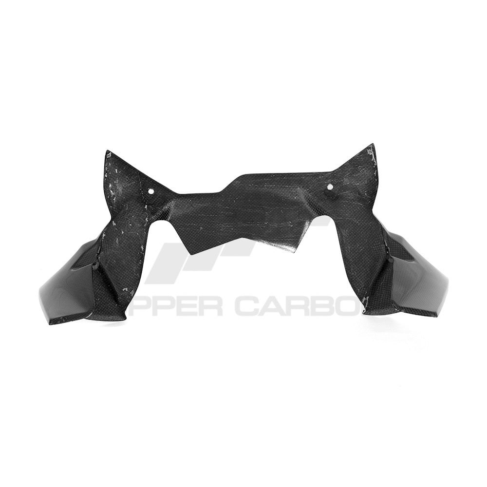 BMW R1250 GS/GSA Carbon Fiber Wind Deflector On The Cockpit — image 6