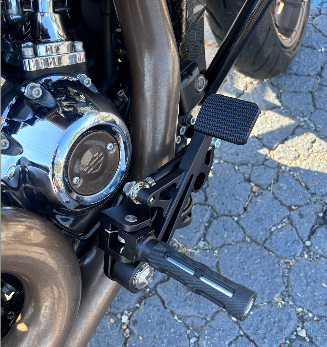 BaggerBoy Design CVO RR Style Mid Control